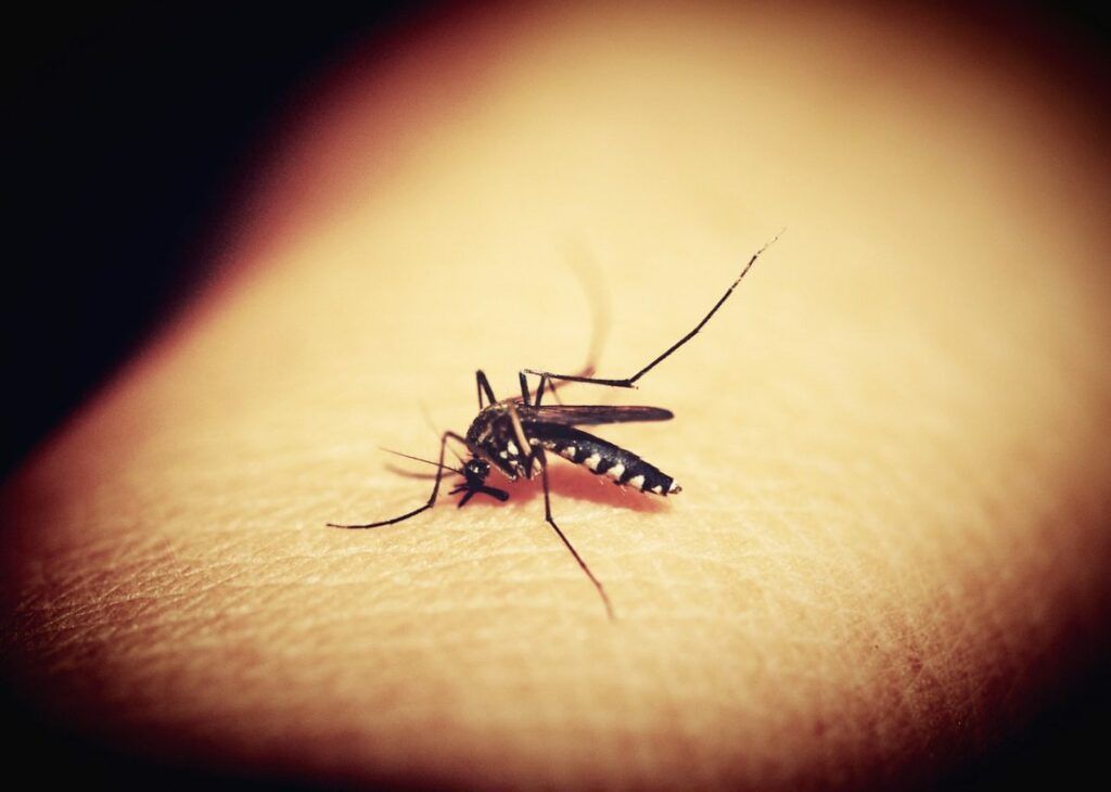 Kako ukloniti tamne mrlje na nogama od uboda komaraca